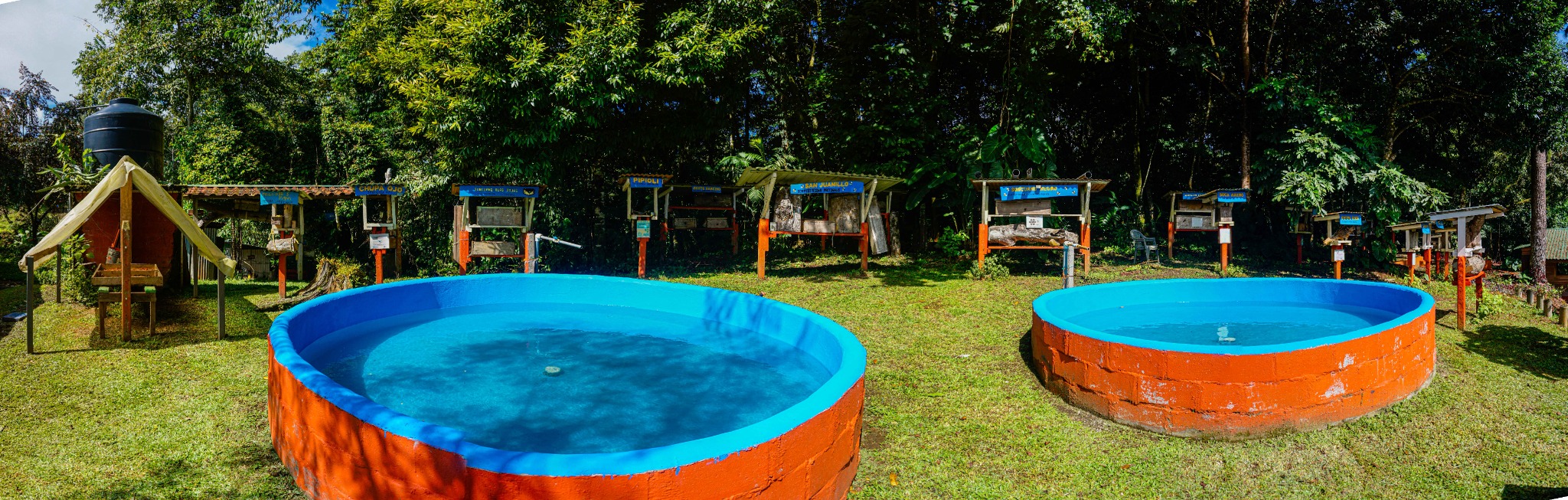 Piscinas y naturaleza en Rancho Verde